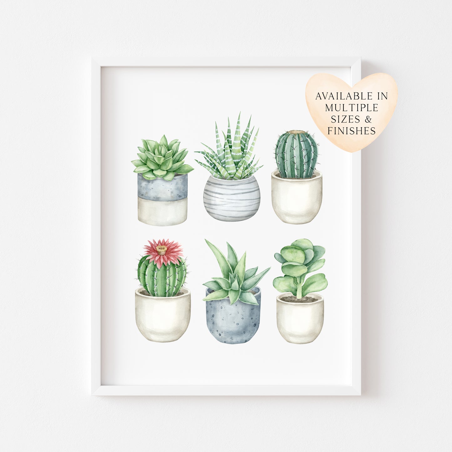 Plant illustration, cactus cacti succulents watercolour 6 illustrations unframed wall art poster print