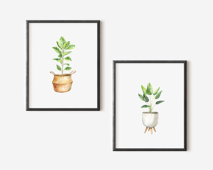 Set of 2 plant prints, watercolour plant illustrations unframed wall art poster prints