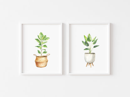 Set of 2 plant prints, watercolour plant illustrations unframed wall art poster prints