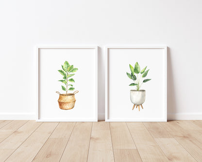 Set of 2 plant prints, watercolour plant illustrations unframed wall art poster prints