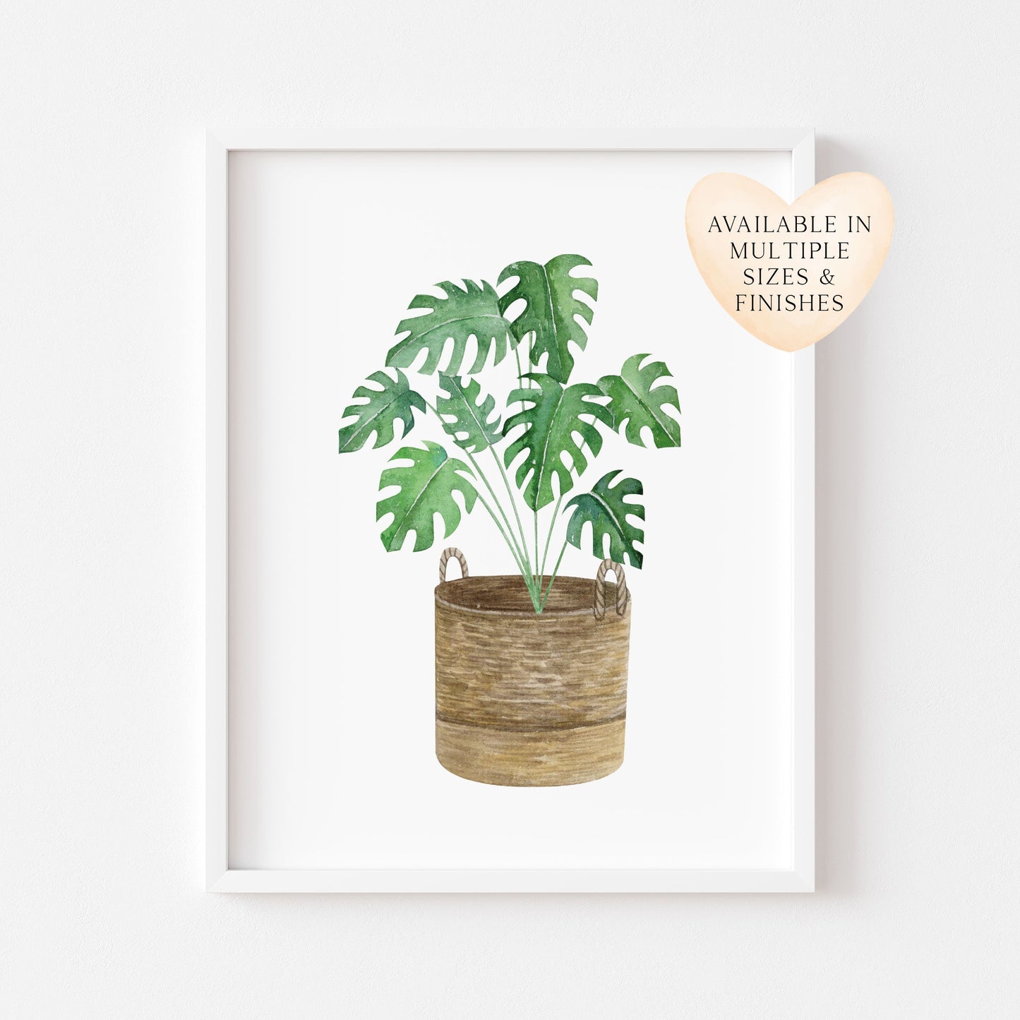 Botanical plant print watercolour cheese plant basket illustration unframed wall art poster print