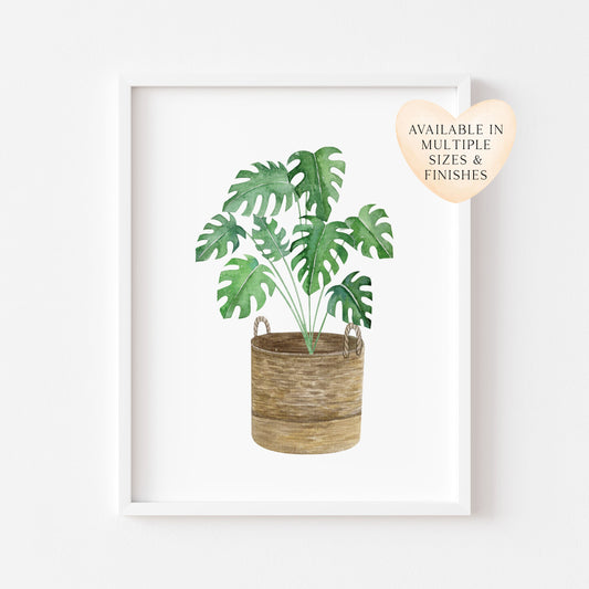 Botanical plant print watercolour cheese plant basket illustration unframed wall art poster print