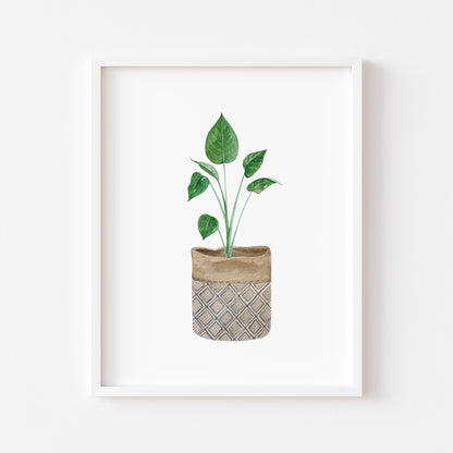 Botanical plant print watercolour illustration unframed wall art poster print