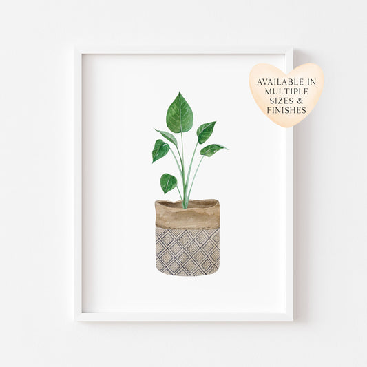 Botanical plant print watercolour illustration unframed wall art poster print