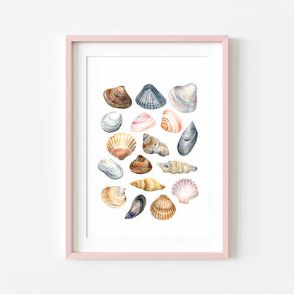 Summer print, Sea shells coastal summer watercolour seasonal home bedroom unframed wall art poster print summer accessories shell art prints