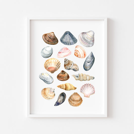Summer print, Sea shells coastal summer watercolour seasonal home bedroom unframed wall art poster print summer accessories shell art prints
