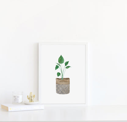 Botanical plant print watercolour illustration unframed wall art poster print