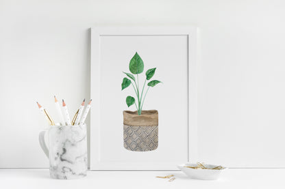Botanical plant print watercolour illustration unframed wall art poster print