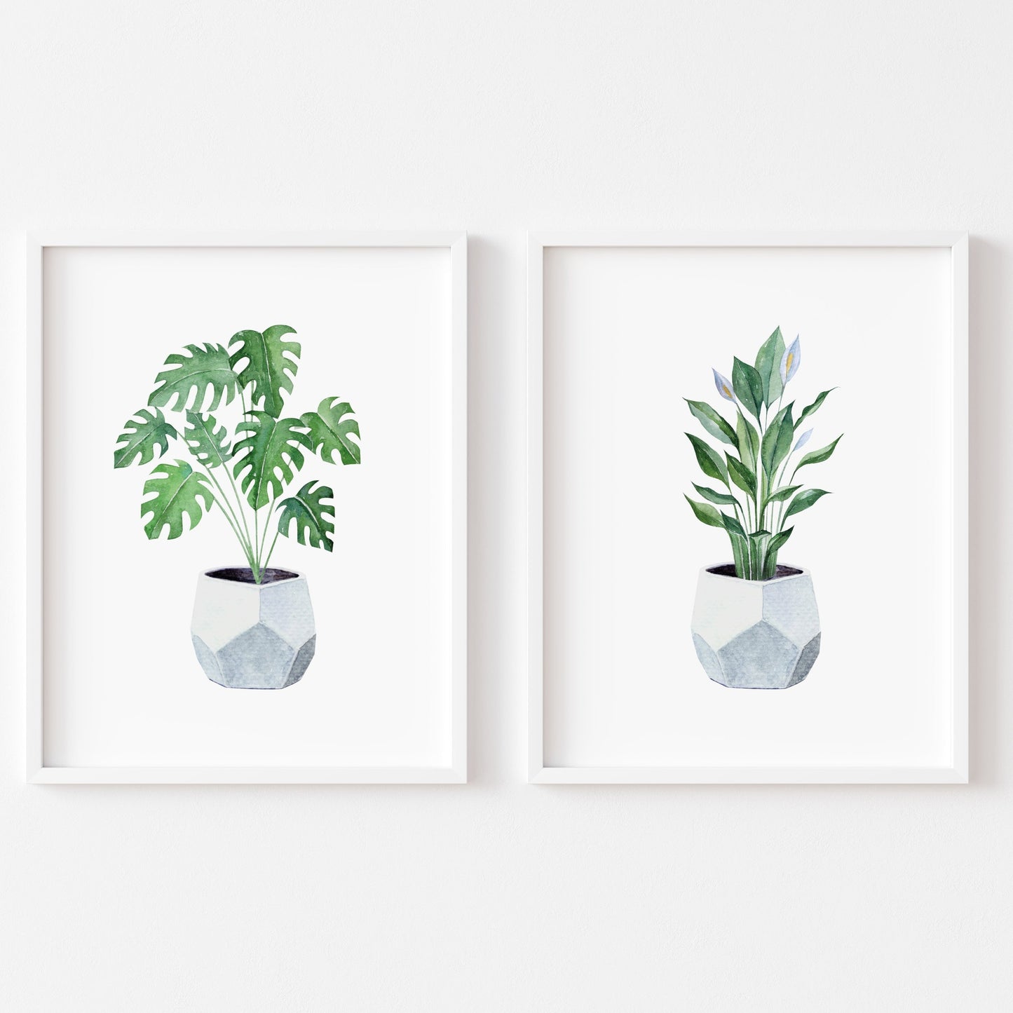 Set of 2 botanical plant blue pot watercolour unframed wall art poster prints