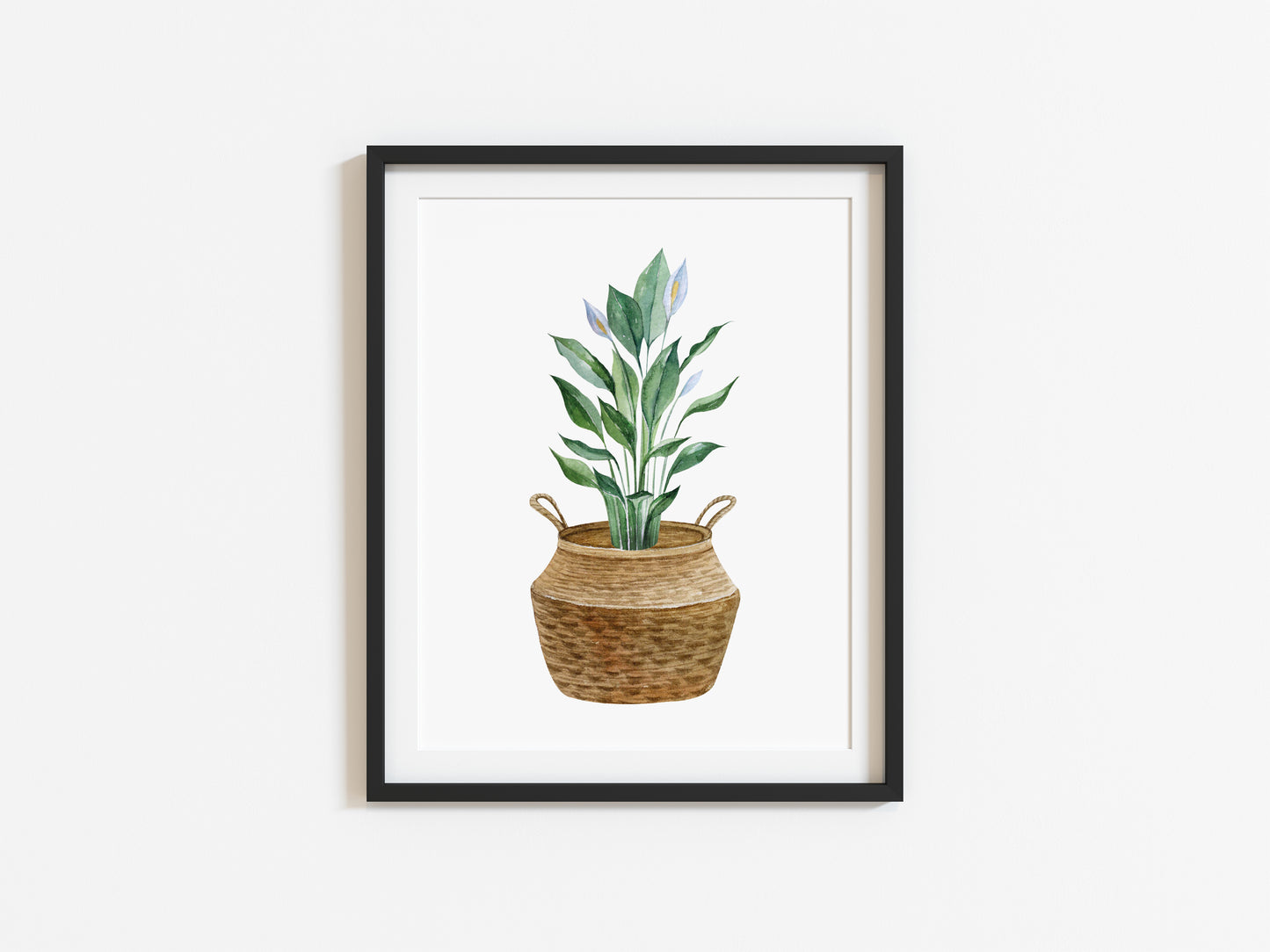 Botanical plant in belly basket watercolour illustration unframed wall art poster print