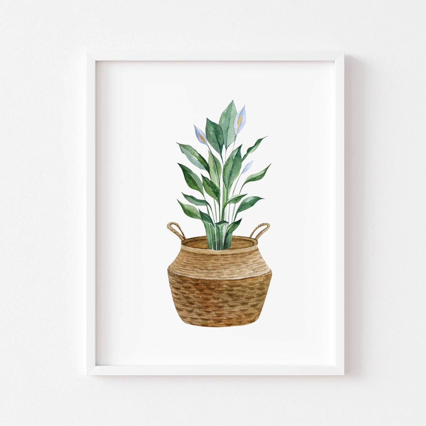 Botanical plant in belly basket watercolour illustration unframed wall art poster print