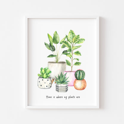 Home is where my plants are cactus/plants watercolour illustration unframed wall art poster print