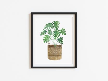 Botanical plant print watercolour illustration unframed wall art poster print