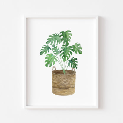 Botanical plant print watercolour illustration unframed wall art poster print