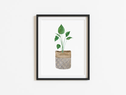 Botanical plant and basket print watercolour illustration unframed wall art poster print