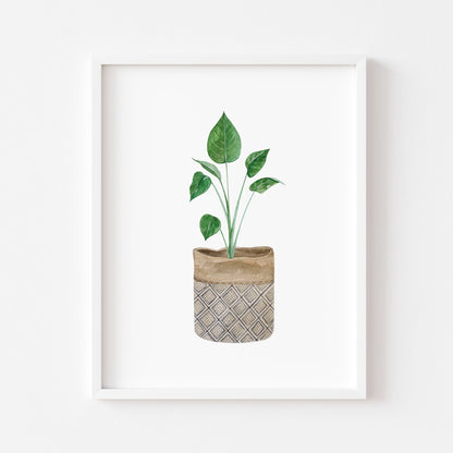 Botanical plant and basket print watercolour illustration unframed wall art poster print